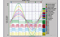 HIOKI 9335 Wave Processor